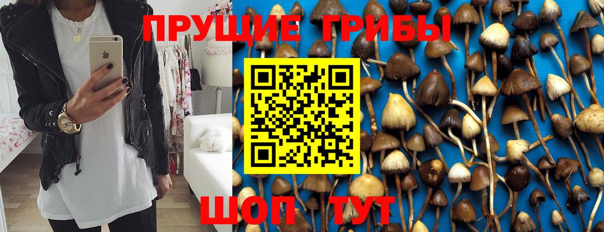 цены наркотик  Галлюциногенные грибы мухоморы  Галлюциногенные грибы Psilocybine cubensis  Вход с VPN  Чита 